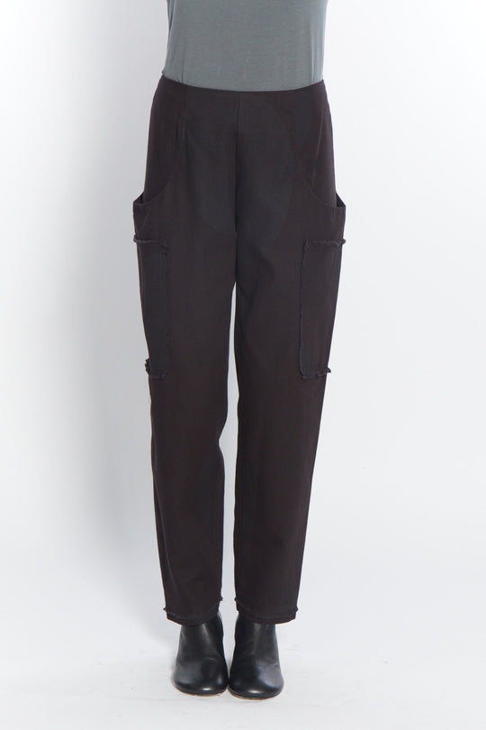 Ikaros Pant